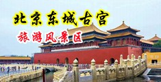 韩国美女插B、频中国北京-东城古宫旅游风景区